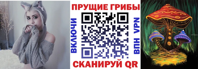 Купить где  Минусинск  Псилоцибиновые грибы Magic Shrooms 